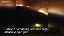 Hatay Samandağ'da dağlık alanda yangın çıktı
