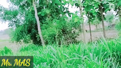 Apni Yaari | Setting Ka Chakkar|  New Comedy video