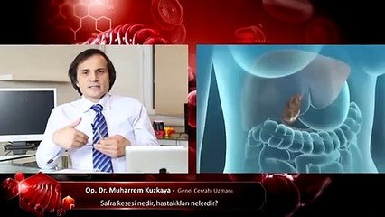 Safra kesesi nedir hastalıkları nelerdir?