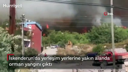 Hatay'da bir orman yangını daha