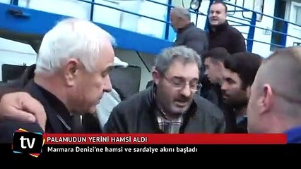 Marmara'da palamudun yerini hamsi alıyor