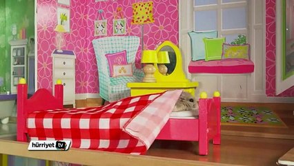 Minik hamsterın küçük konağı