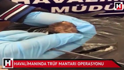 Havalimanında Trüf Mantarı operasyonu