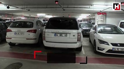 Lüks cipte yüklü miktarda para bulundu