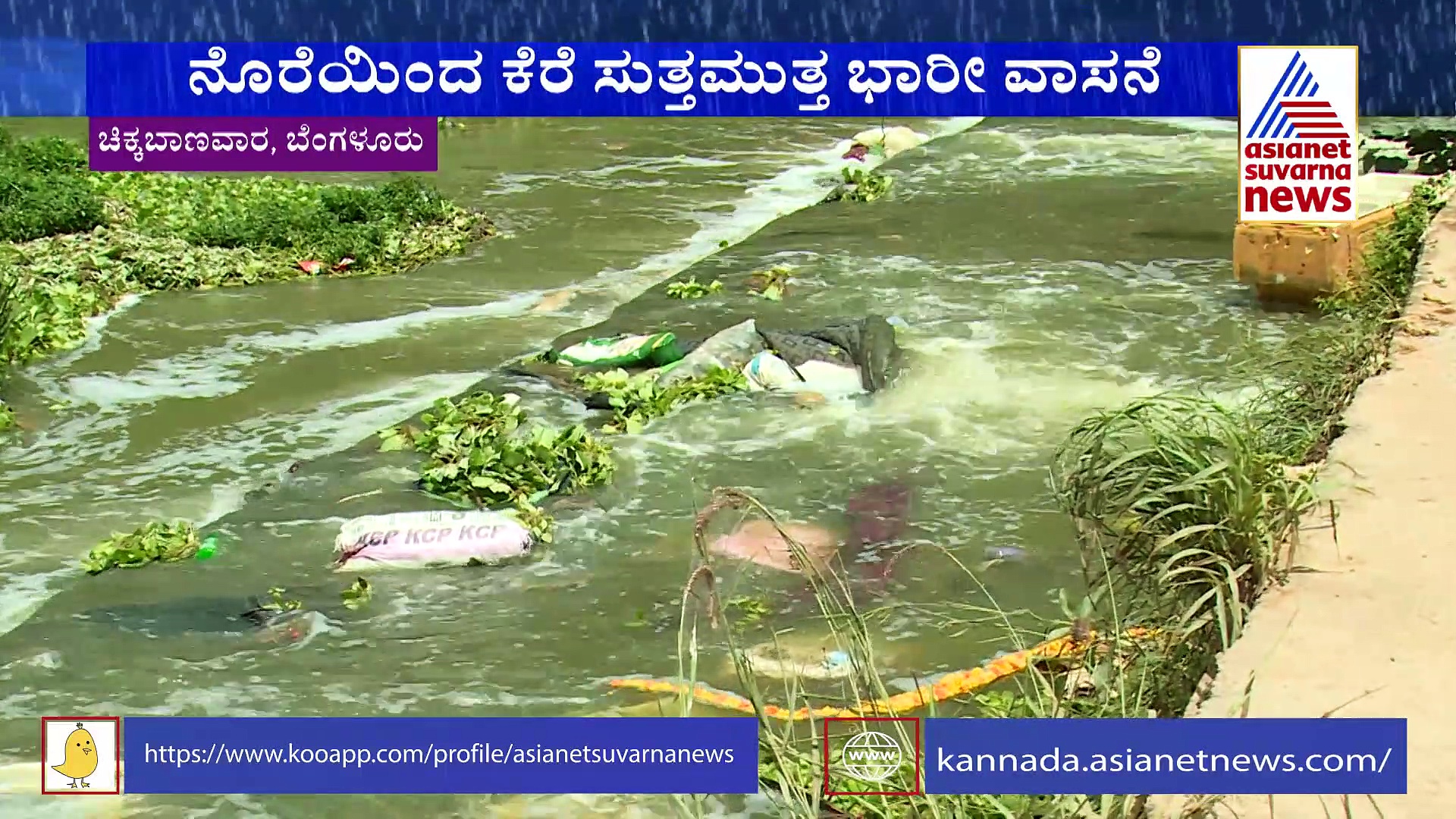 ಚಿಕ್ಕಬಾಣಾವರ ಕೆರೆಯಲ್ಲಿ ನೊರೆ: ಕೆಮಿಕಲ್‌ ಮಿಶ್ರಿತ ನೀರಿನಿಂದ ಅವಾಂತರ