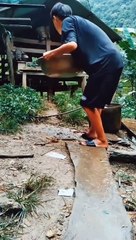 kumpulan video lucu im addicted to 2022!!! NGAKAK