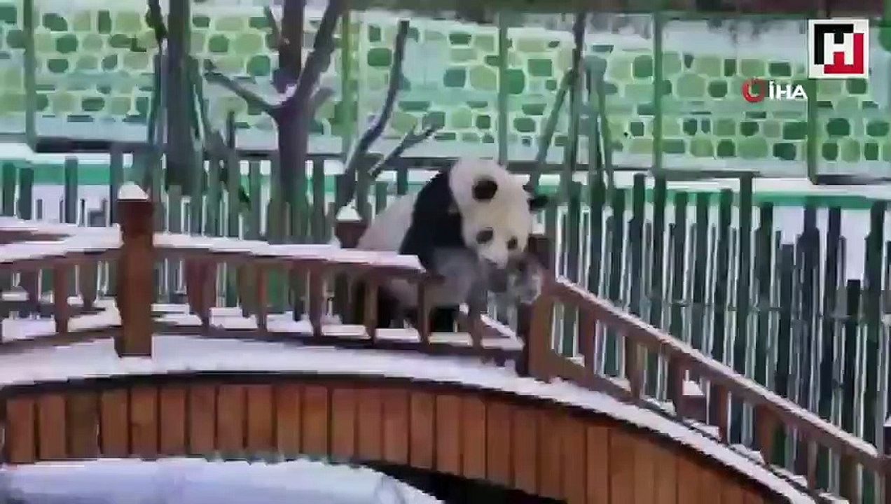 Pandalardan kar keyfi