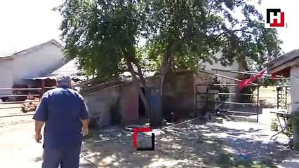 Yılanı vurmaya çalışırken hamile eşini öldürdüğü iddiası