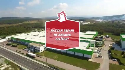 Hayvan Refahı Ne anlama Geliyor?