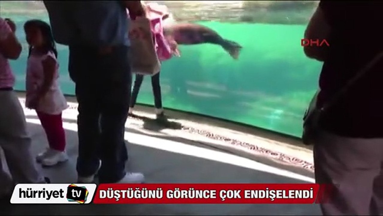 Hayvanat bahçesinde ilginç olay