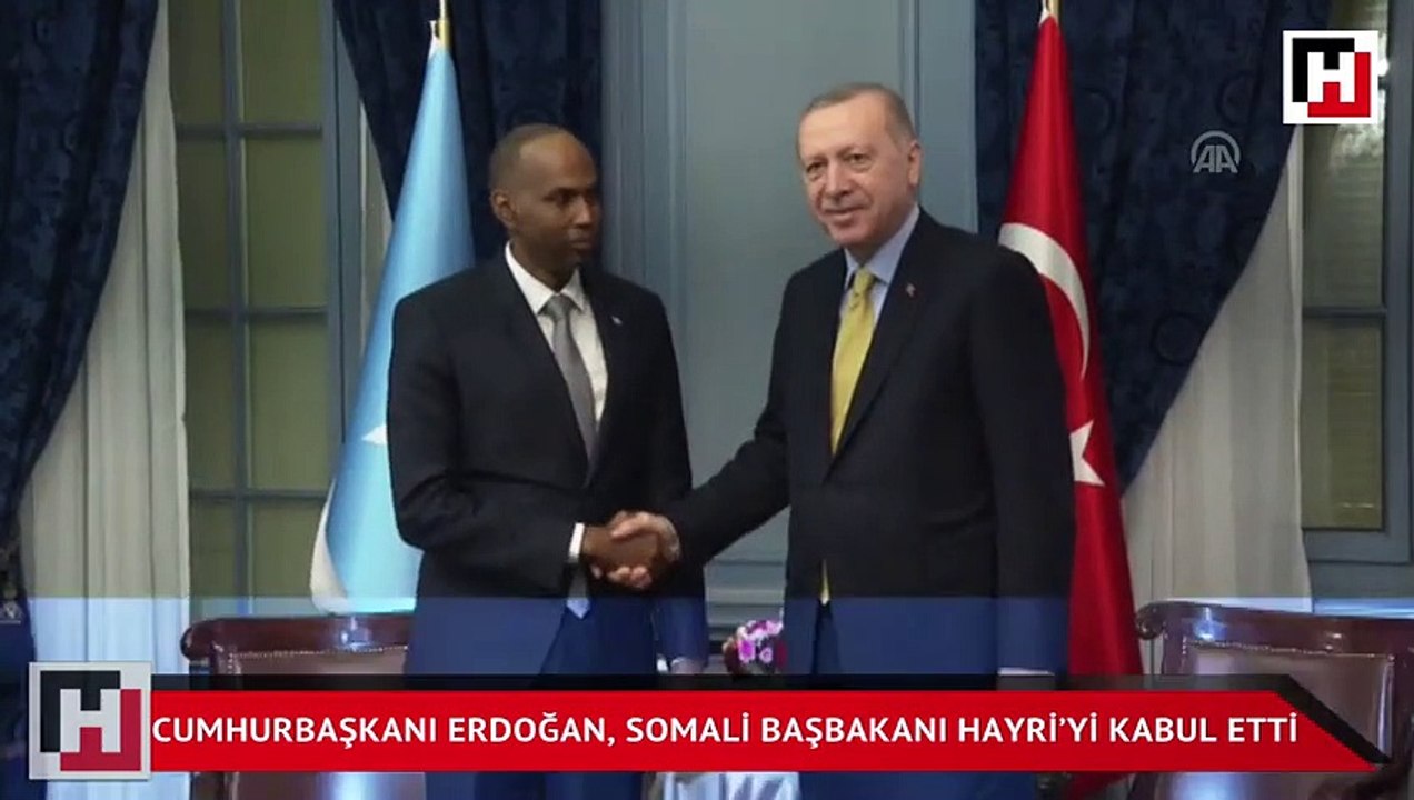 Cumhurbaşkanı Erdoğan, Somali Başbakanı Hasan Ali Hayri'yi kabul etti