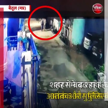 बैतूल (मप्र): शहर में बढ़ रहा है चोरों का आतंक और पुलिस की सुस्ती