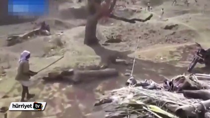 Elindeki sopayla leopara karşı koydu