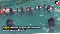 Horon tepen insanlara eşlik eden yunuslar!