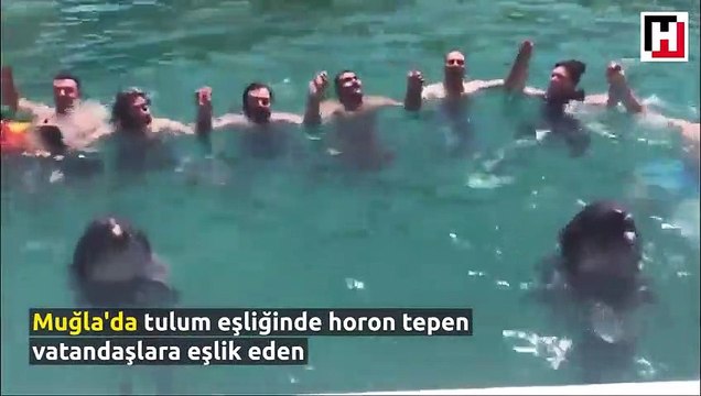 Horon tepen insanlara eşlik eden yunuslar!