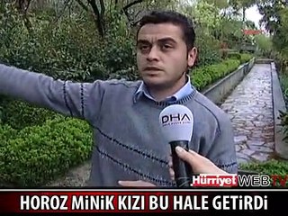 HOROZ BU HALE GETİRDİ