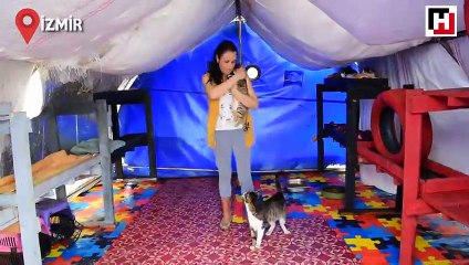 Hayvanlar için ‘huzur’ çiftliği