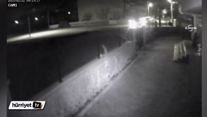 Okuma salonuna hediye edilen plazma televizyonu çaldılar