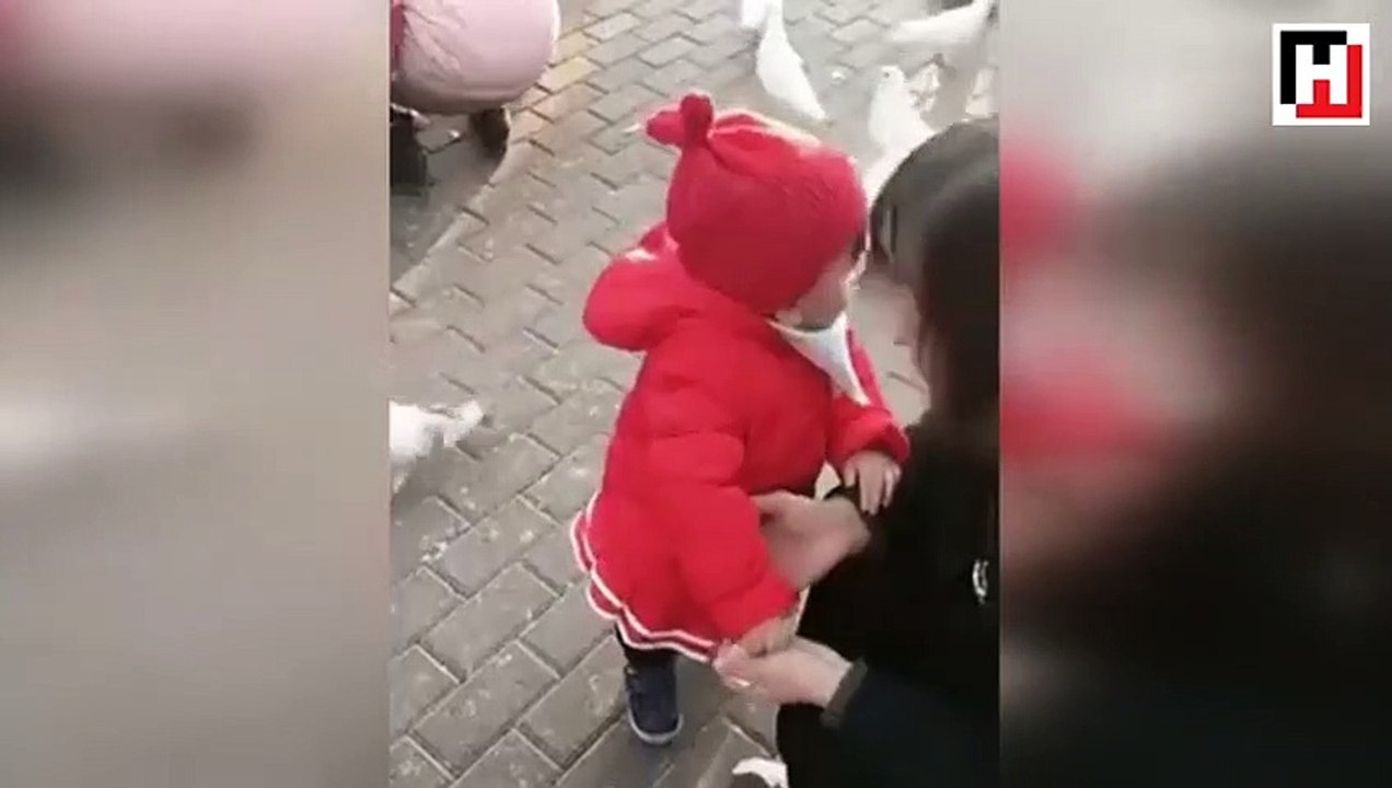 Hayvansever ufaklık izleyenleri güldürdü