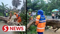 Over 40 people stranded at Langkawi waterfall due to heavy rain