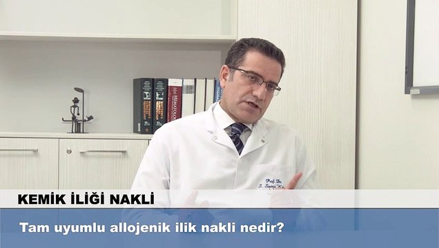 Tam uyumlu allojenik ilik nakli nedir?