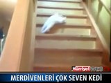 MERDİVEN 