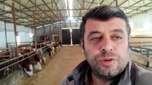Et ve süt üreticileri bugün grev yapacağını duyurdu: “İki yıl önce ‘Gıda krizi geliyor’ dedik, kimse bizi dinlemedi; hakkımızı arıyoruz