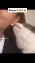 Respect #respect #dailymotion #video