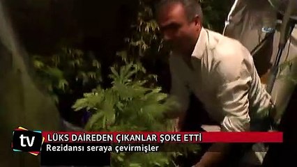 Rezidansta hint keneviri serası!