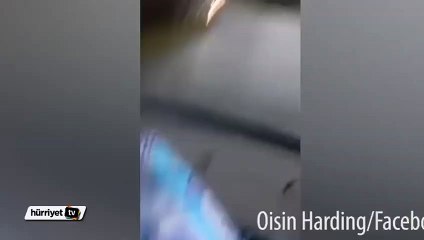 Yoldaki su birikintisinde  su kayağı yapan adam