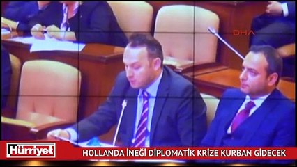Hollanda ineği, diplomatik krize kurban gidecek...