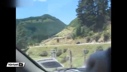 Otoyolu kuzular işgal etti