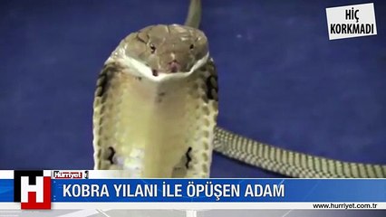 KOBRAYLA ÖPÜŞEN ADAM