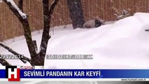 PANDANIN KAR KEYFİ