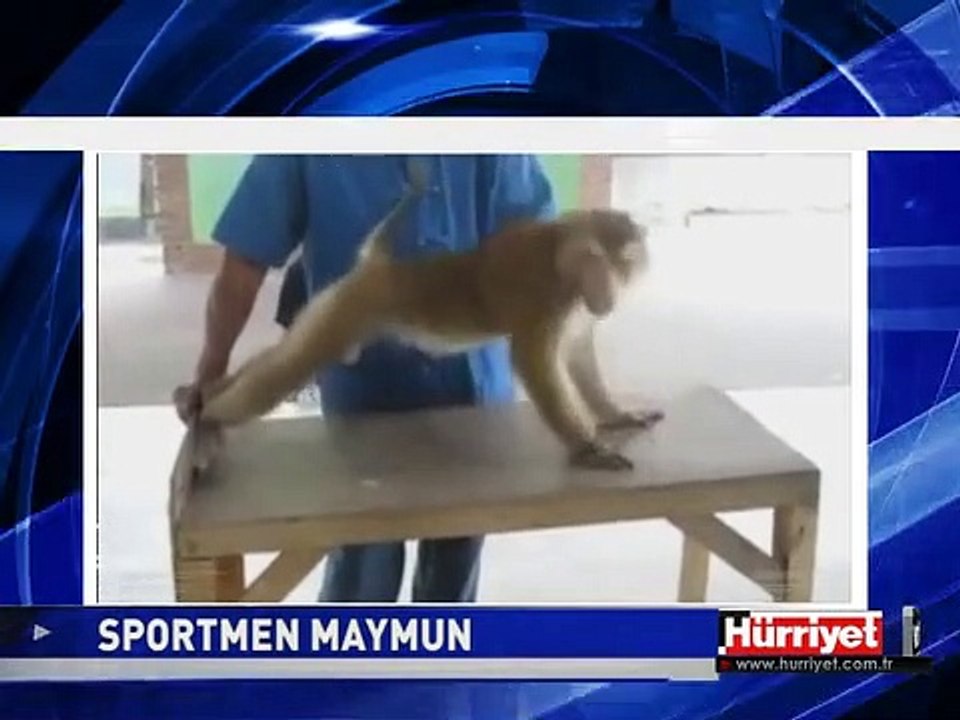 SPORTMEN MAYMUN