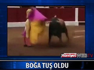 BOĞANIN İNANILMAZ SONU