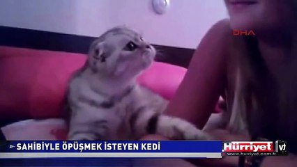 SAHİBİYLE ÖPÜŞMEK İSTEYEN KEDİ