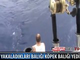 KÖPEK BALIĞI KILIÇ BALIĞINI YEDİ
