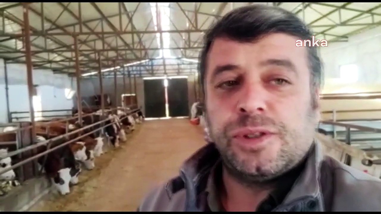 Et ve süt üreticileri grevde: Sen bizi niye küs...