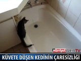 BİR KEDİNİN BAŞINA GELENLER..