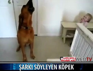 KÖPEK VE BEBEĞİN MUHTEŞEM DÜETİ