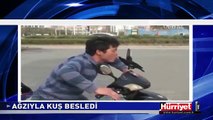 AĞZIYLA KUŞ BESLEYEN ADAM