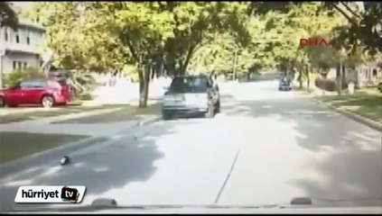 Kafasını yoğurt kabına sıkıştıran kokarcayı polis kurtardı