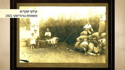 בית מאיר גורודיסקי