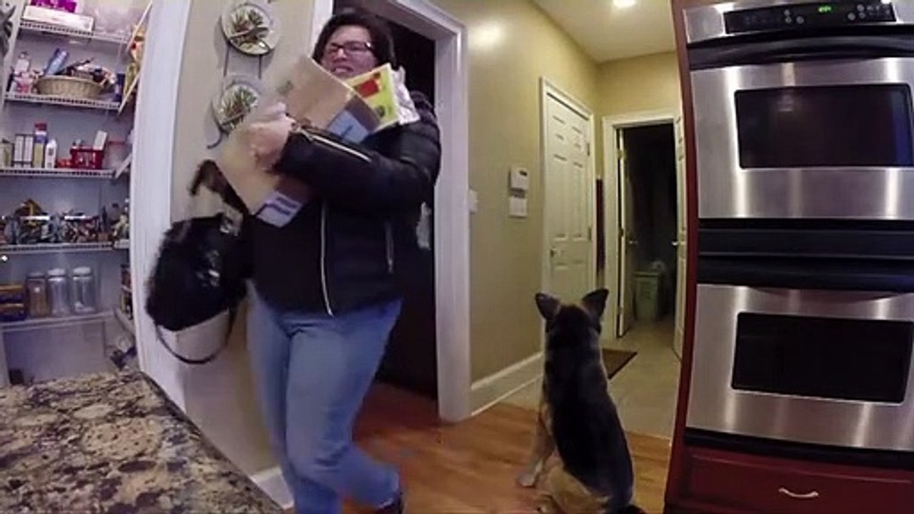 Bu kadını korkutmaya oyuncak köpek bile yetiyor!