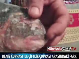 İŞTE İZAH EDEN ADAM