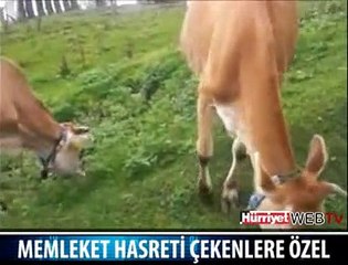 HADİ GEL KÖYÜMÜZE GERİ DÖNELİM