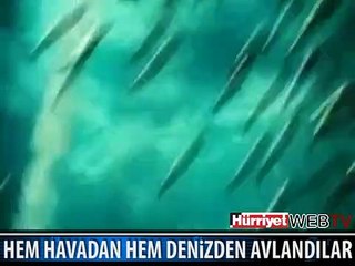 İNANILMAZ BİR DOĞA OLAYI