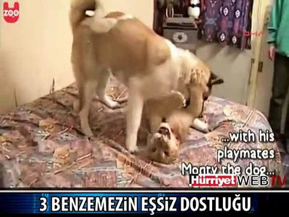HAYRET VERİCİ GÖRÜNTÜLER