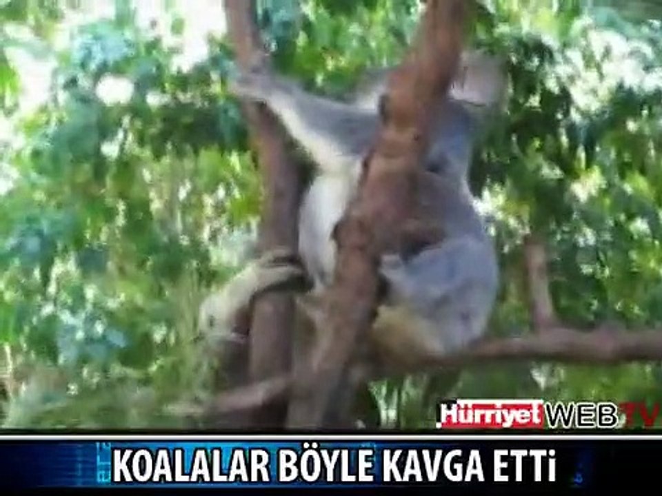BÖYLE KAVGA ETTİLER